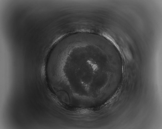 X0000097820249200803201443