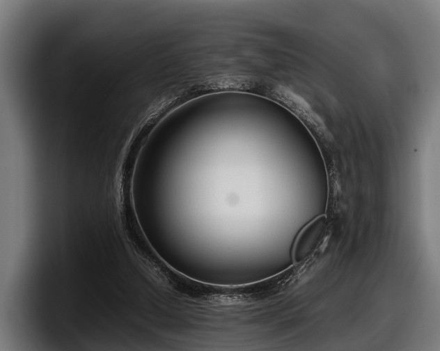 X0000097820250200803201443