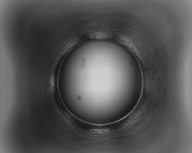 X0000097820251200803201443