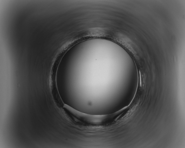 X0000097820252200803201443