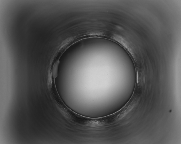 X0000097820253200803201443