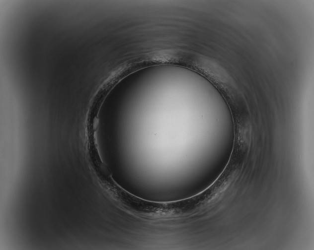 X0000097820256200803201443