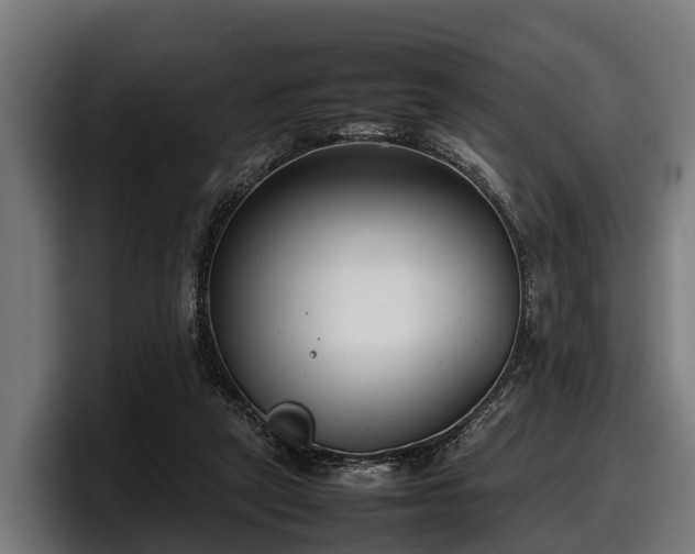 X0000097820257200803201443