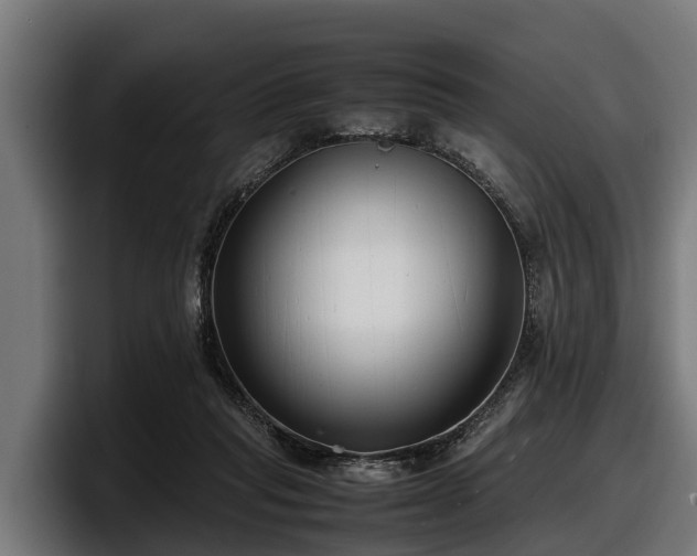 X0000097820261200803201443