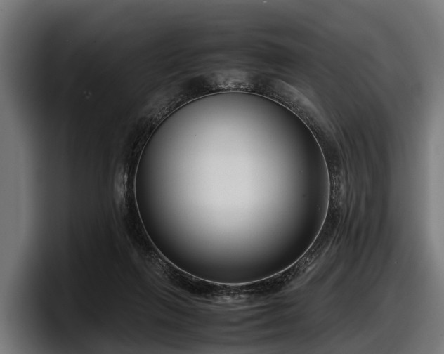 X0000097820263200803201443