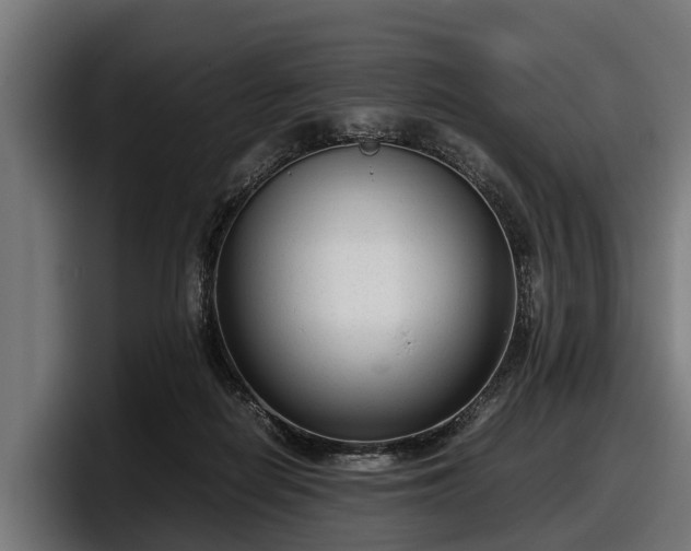 X0000097820266200803201443