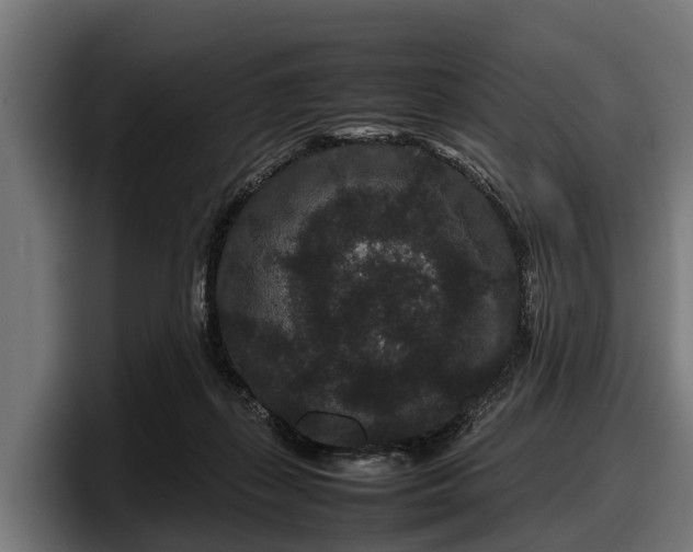 X0000097820267200803201443