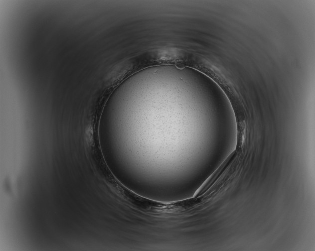 X0000097820269200803201443