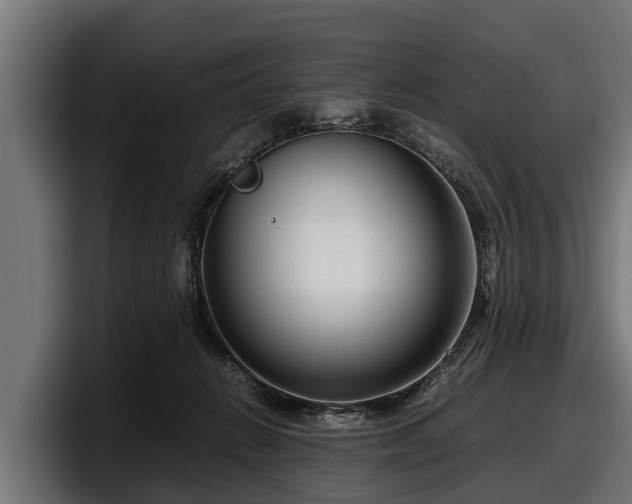 X0000097820270200803201443