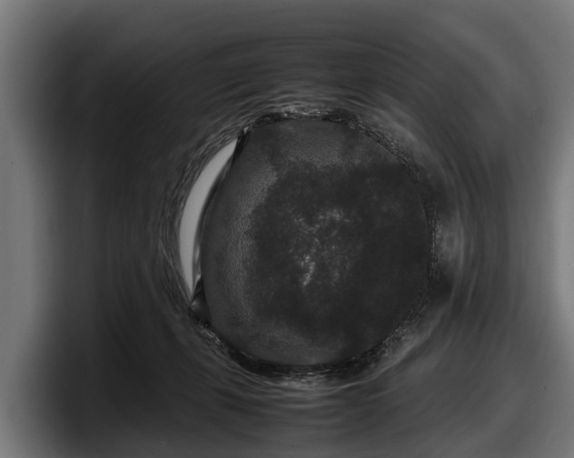 X0000097820271200803201443