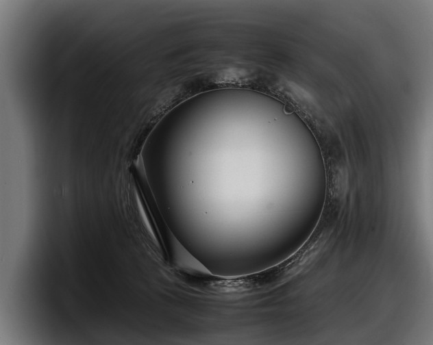 X0000097820273200803201443