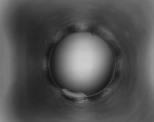 X0000097820274200803201443