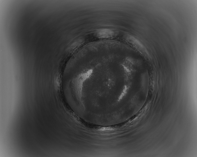 X0000097820277200803201443