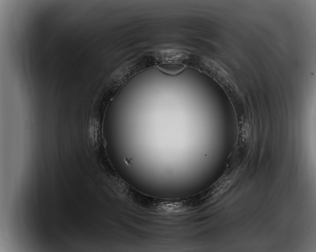 X0000097820283200803201443