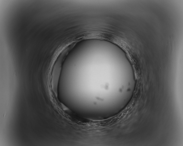 X0000097820289200803201443