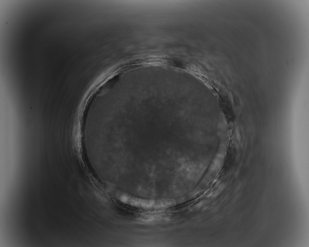 X0000097820293200803201443