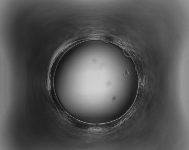 X0000097820294200803201443