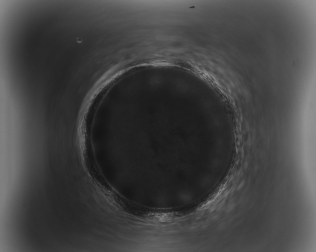 X0000097820295200803201443