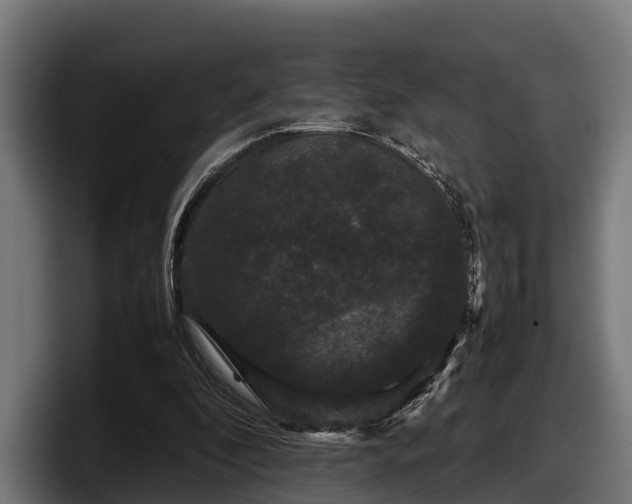 X0000097820296200803201443