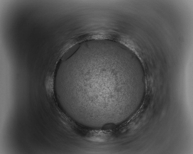 X0000097820297200803201443