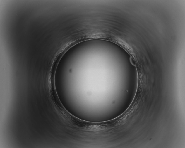 X0000097820298200803201443