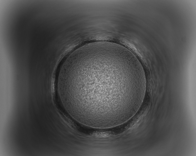 X0000097820299200803201443