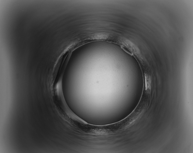 X0000097820300200803201443