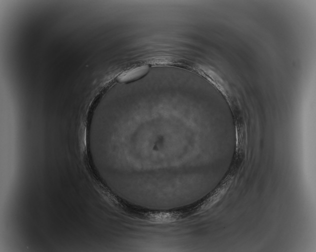 X0000097820301200803201443