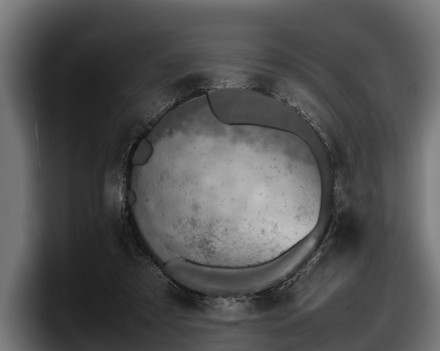 X0000097820305200803201443