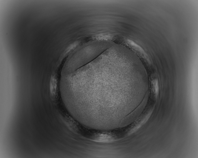 X0000097820308200803201443