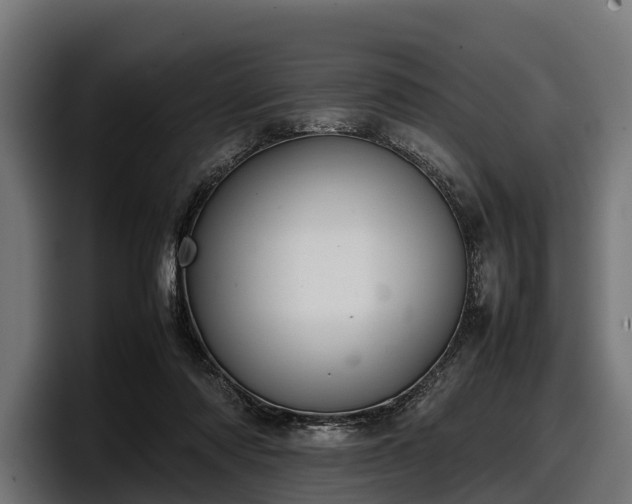 X0000097820310200803201443