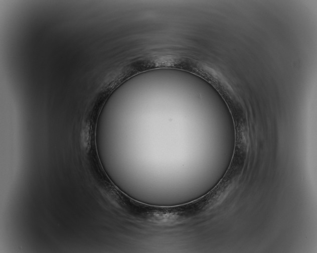 X0000097820311200803201443