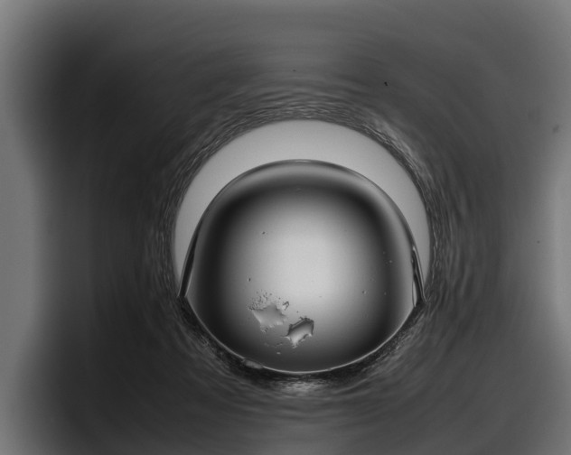 X0000097820313200803201443