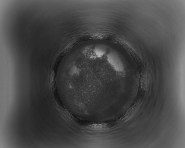 X0000097820314200803201443