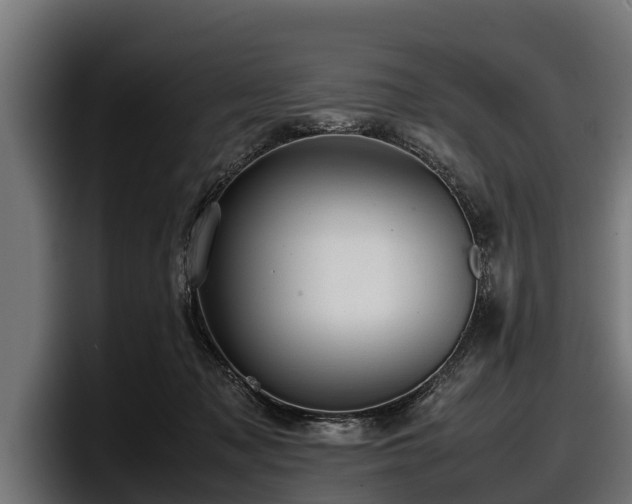 X0000097820317200803201443