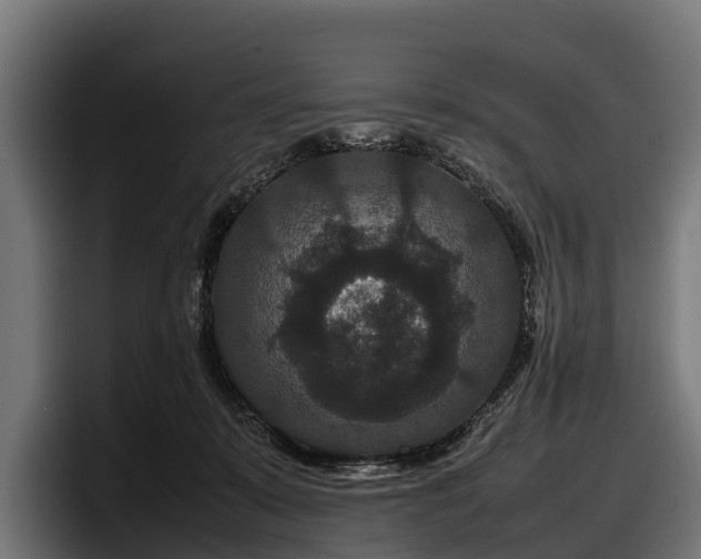 X0000097820319200803201443