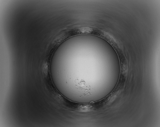 X0000097820321200803201442