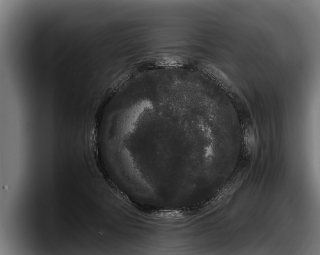 X0000097820322200803201442