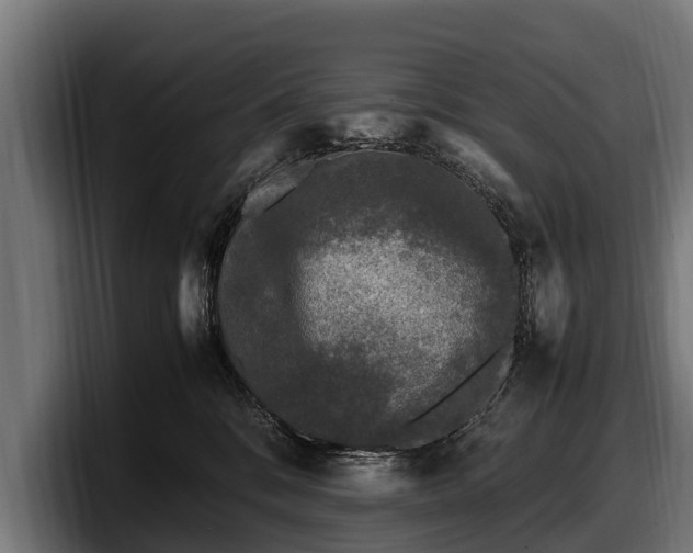 X0000097820328200803201442