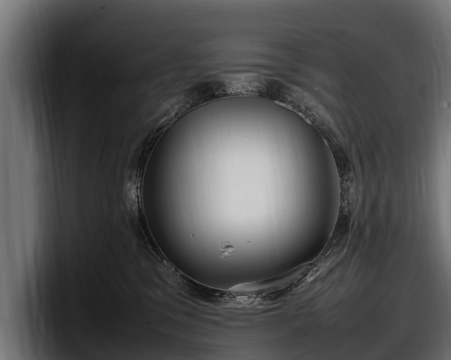 X0000097820329200803201442