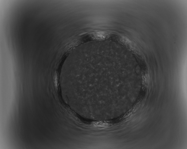 X0000097820331200803201442