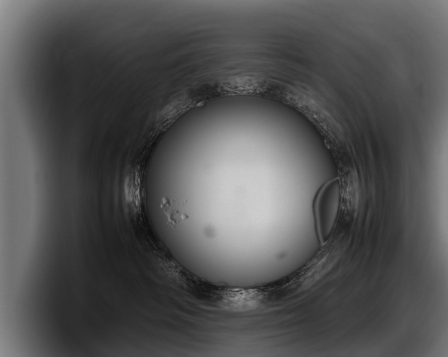 X0000097820334200803201442