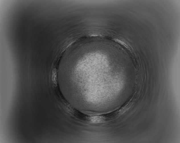 X0000097820336200803201442