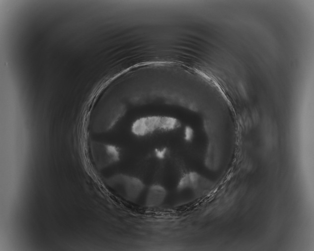 X0000097820337200803201442