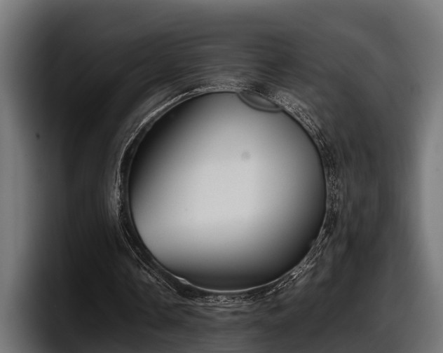 X0000097820338200803201442