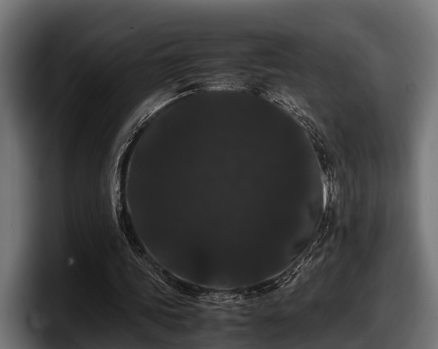 X0000097820339200803201442