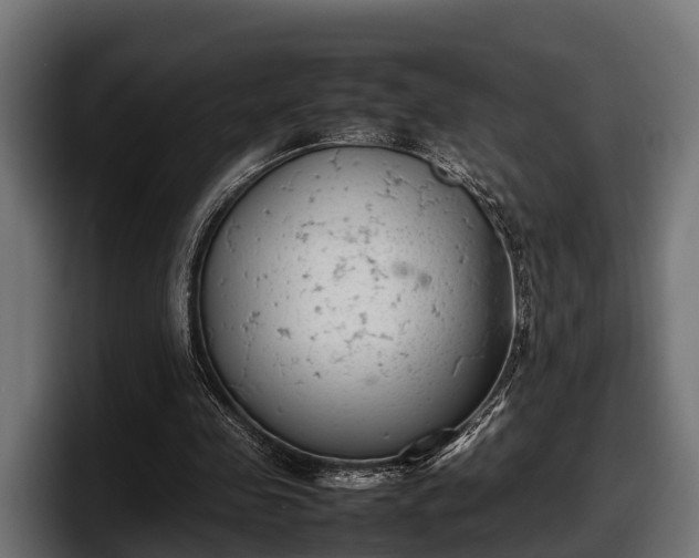 X0000097820341200803201442