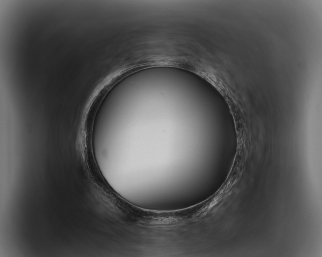 X0000097820342200803201442