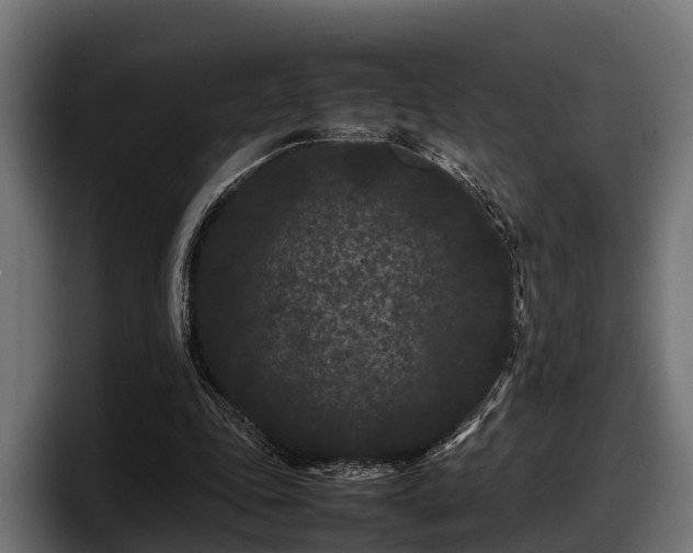 X0000097820343200803201442