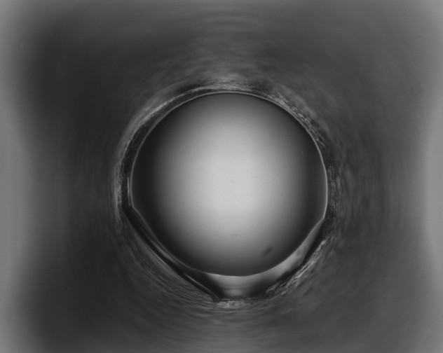 X0000097820344200803201442